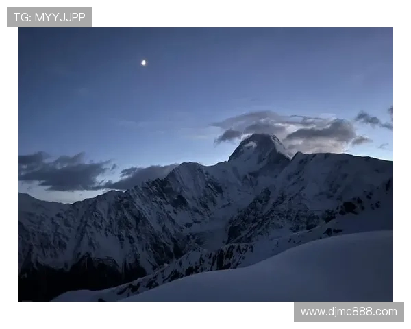 攀登人生的巅峰：杨丽与深度对话的探索之旅