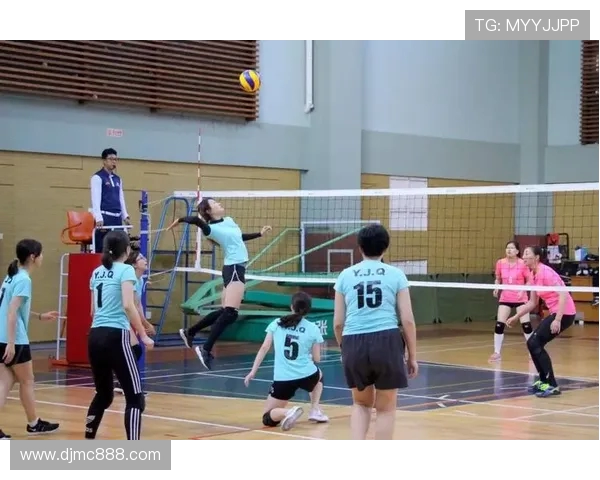 杭州排球队引领最新排球团队协作TOP10榜单精彩纷呈