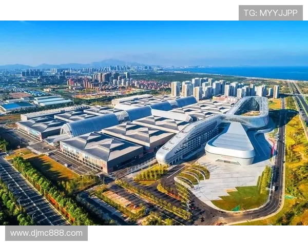 青岛西海岸发展新机遇与挑战探索创新驱动下的区域经济转型与升级 青岛西海岸发展新机遇与挑战探索创新驱动下的区域经济转型与升级