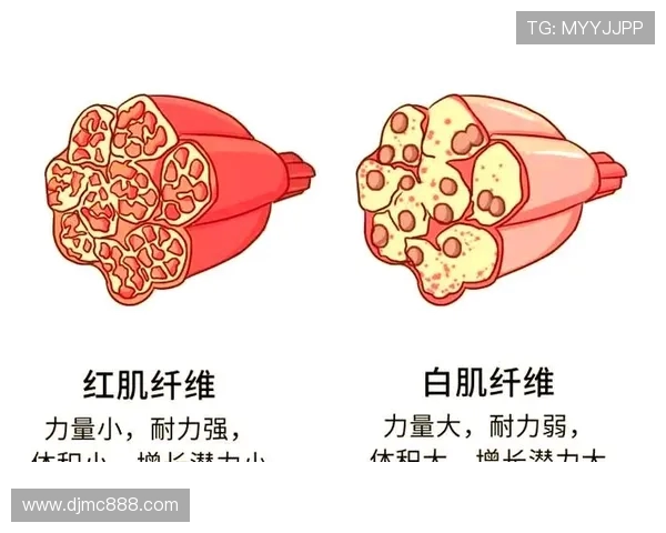 全面提升体能与健康的健身指南：科学训练与营养搭配的完美结合