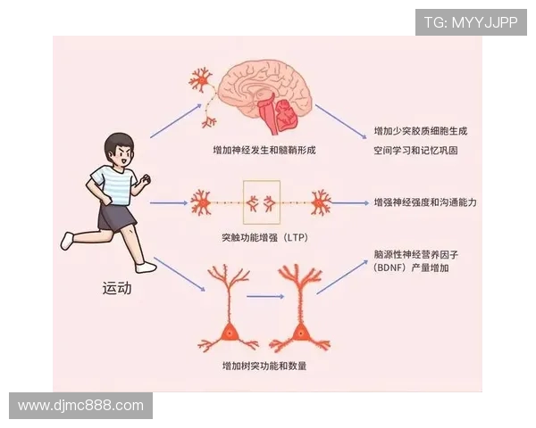 探索运动的力量：从身体健康到心理成长的全方位影响分析